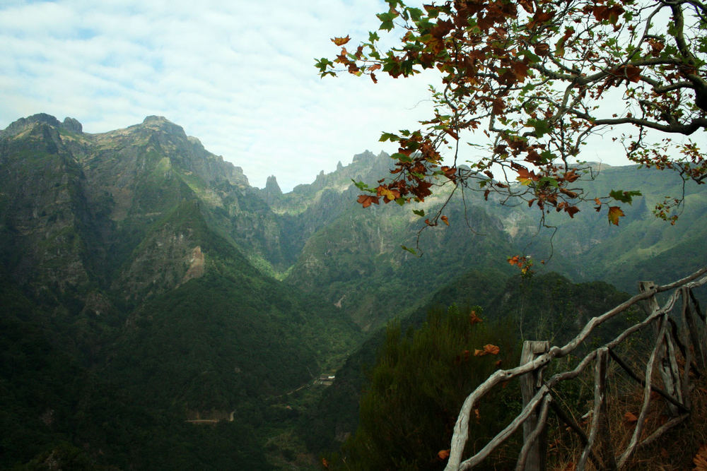 Balcões / Madeira