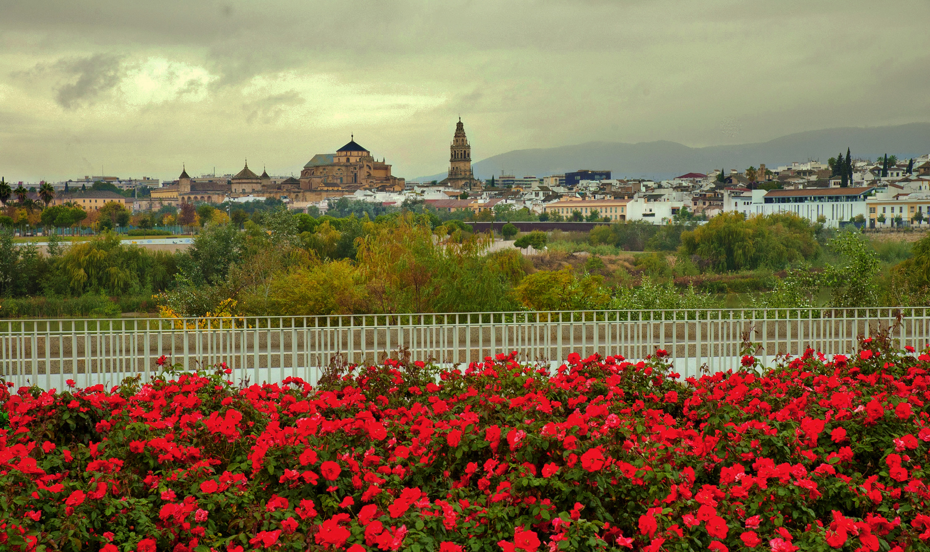 BALCÓN DEL GUADALQUIVIR.(Dedicada a Graciela)