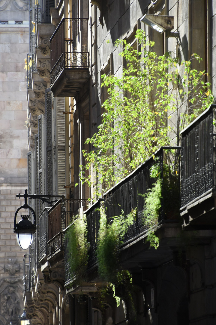 Balcon Barcelonais 