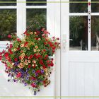 Balcon con flores 