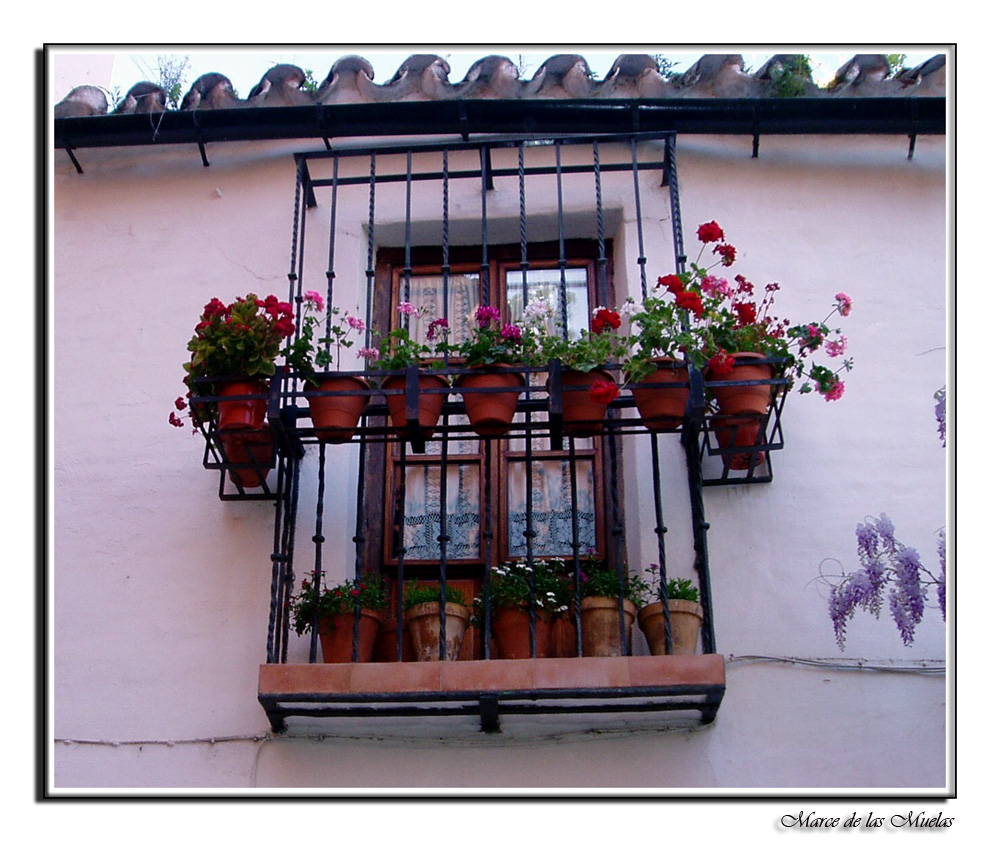 Balcón con geranios