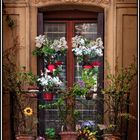 balcon florido