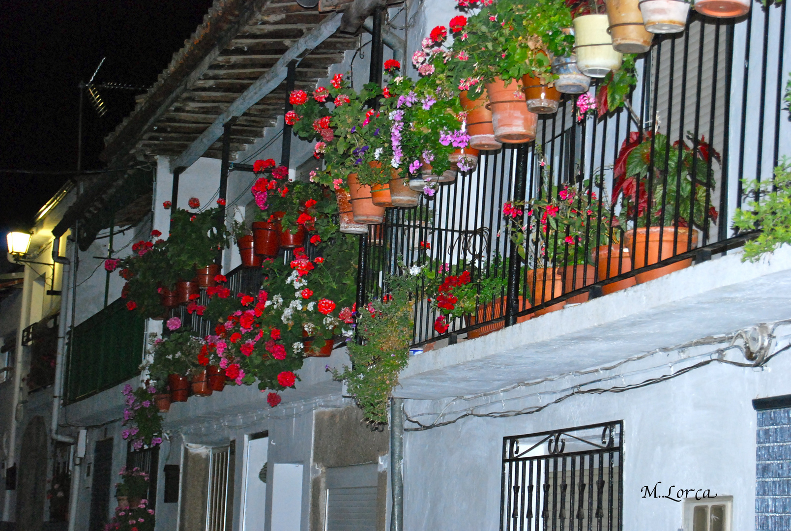 balcon florido de noche