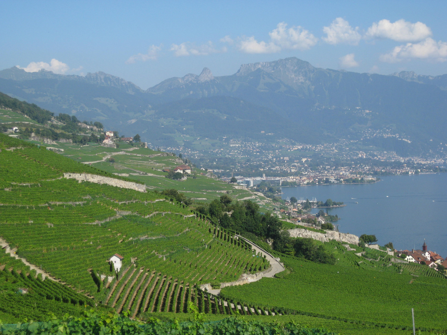 Balcone di vigneti