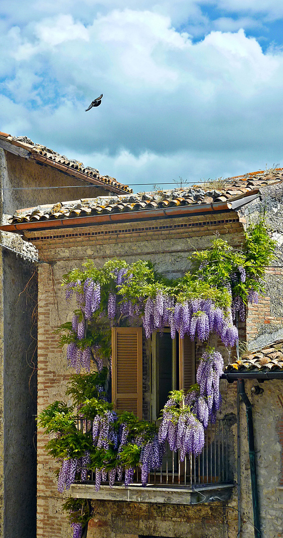 Balcone Fiorito 