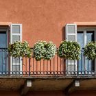 Balcone in piazza Cavour, Vercelli