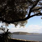 Balcone sulla natura