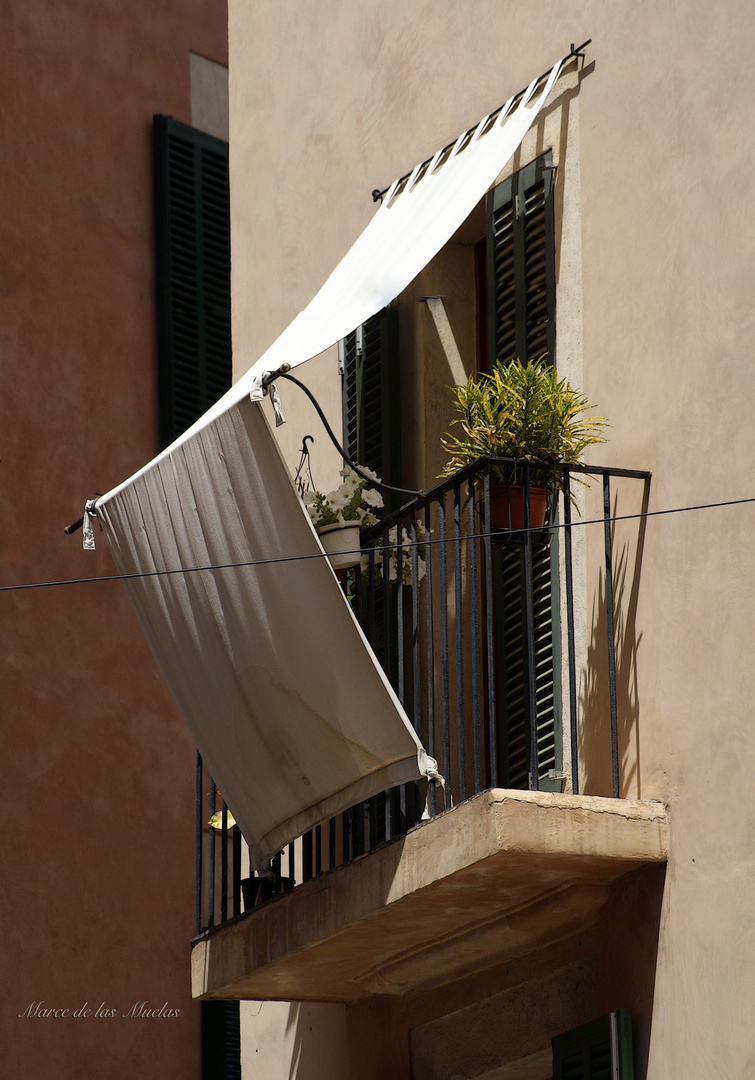 ...Balcones de Palma...