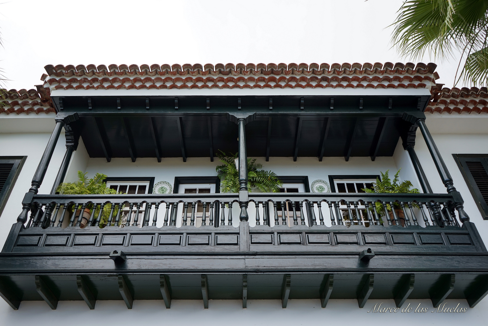 ...Balcones de Tenerife...