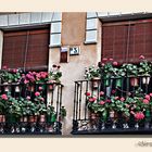 Balcones de Toledo...