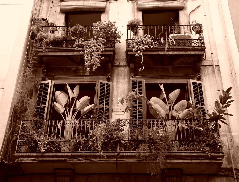 Balcones en el Barrio Gótico