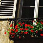 Balcones y ventanas.. LXXXIV. 