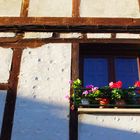 Balcones y ventanas, XXVIII.