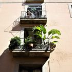 balcony plant