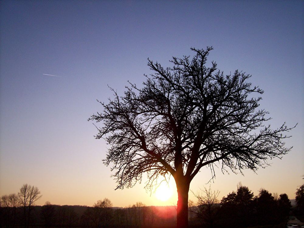 bald abends auf den feldern