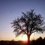 bald abends auf den feldern