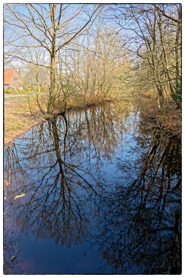 Bald auch hier Frühling (Spiegeldienstag)