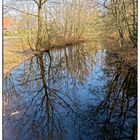 Bald auch hier Frühling (Spiegeldienstag)