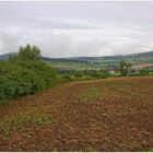 Bald beginnt der Herbst (pronto empieza el otoño)