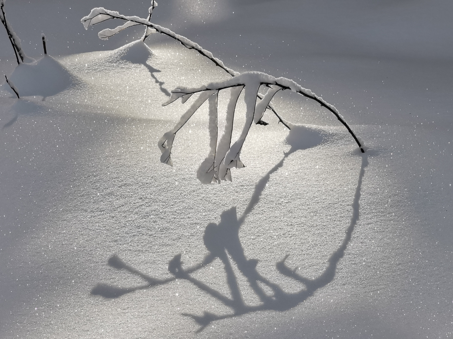 Bald erreiche ich den Schatten