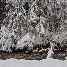 Bald fällt der erste Schnee!