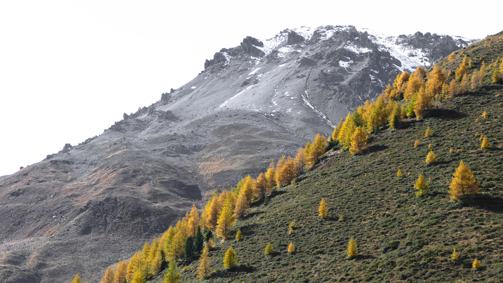 Bald fällt Schnee