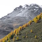 Bald fällt Schnee