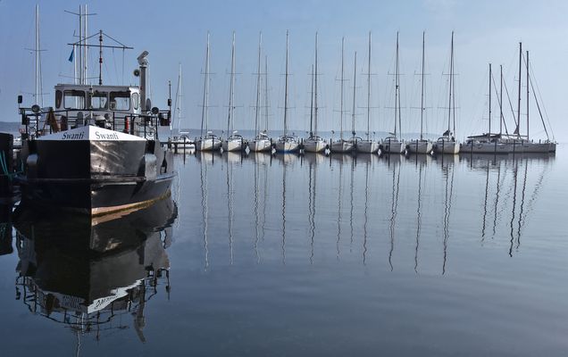 Bald fahren sie wieder.....