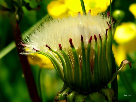 Bald fliege ich wieder