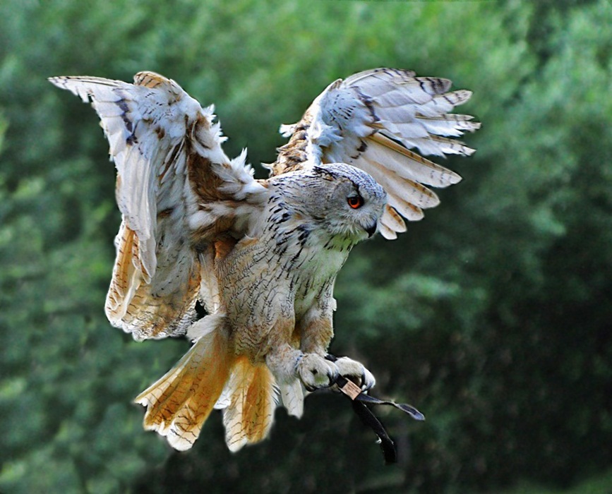 BALD ...fliegen sie wieder !!!