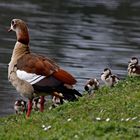 Bald Frühling...