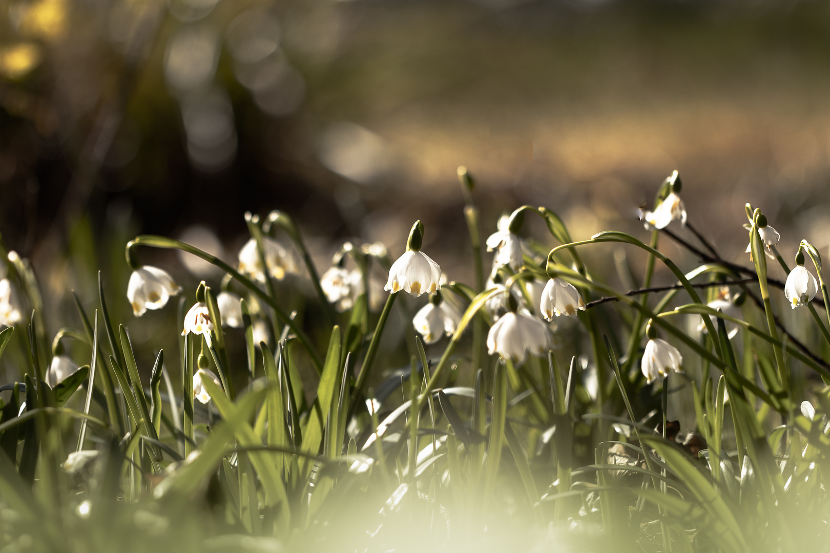 bald Frühling