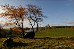 Bald ist auch der Herbst vorbei...!