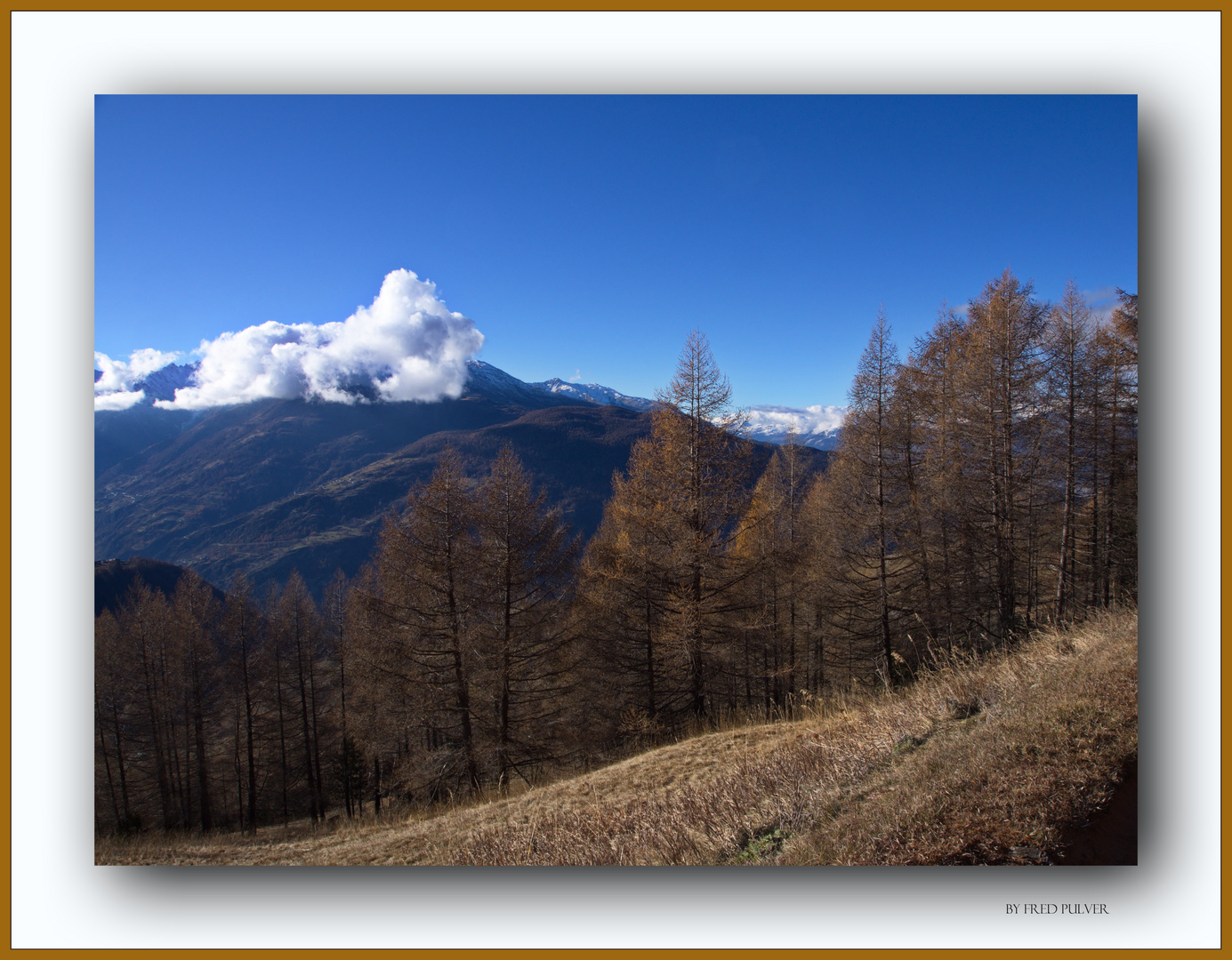 Bald ist der goldige Herbst vorbei!