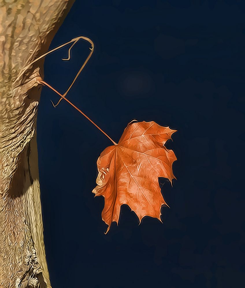 bald ist der Herbst da..