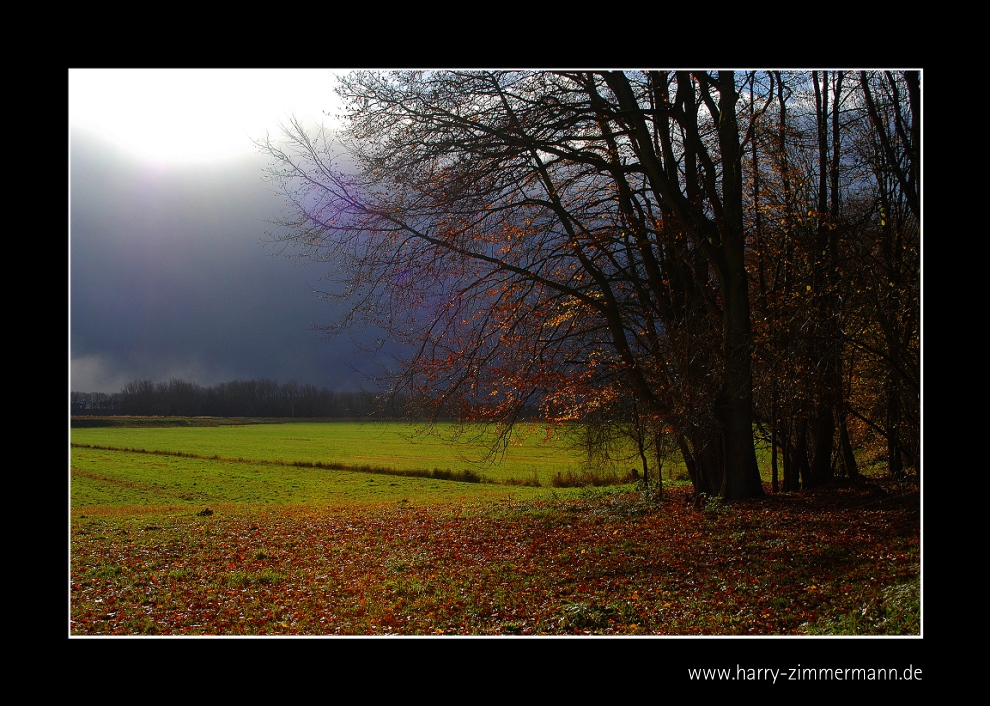 Bald ist der Herbst vorbei