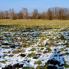 Bald ist der Schnee ganz verschwunden