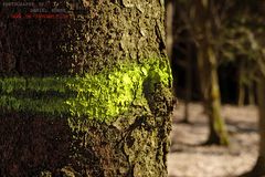 bald ist die sicht frei