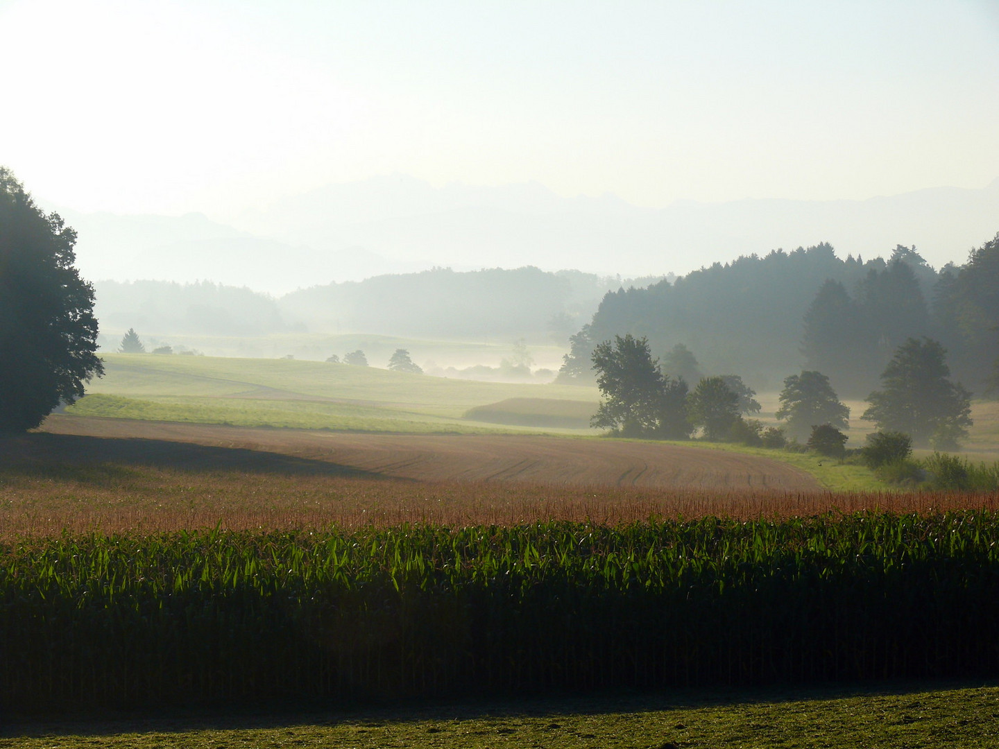 bald ist es Herbst