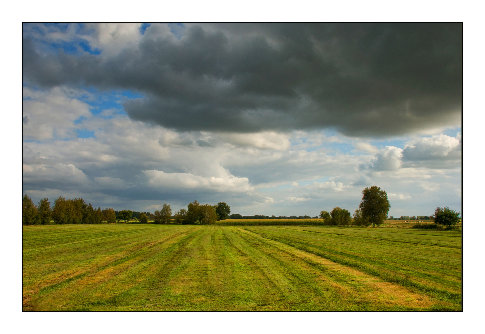 Bald ist es Herbst