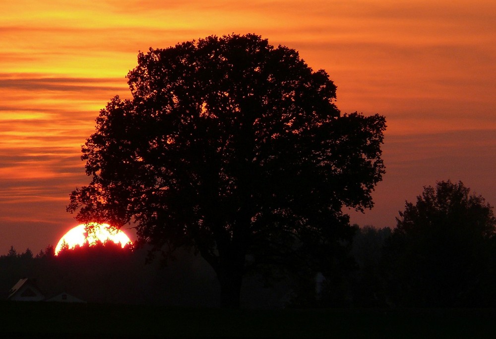 Bald ist es Nacht I