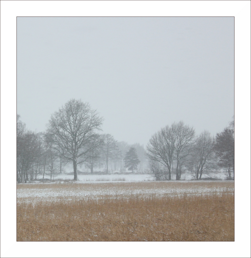 bald ist es soweit... Foto & Bild landschaft, jahreszeiten, winter Bilder auf