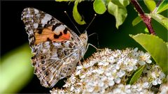 Bald ist es soweit ;-)