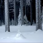 Bald ist es soweit - der Weihnachtswinterwald!