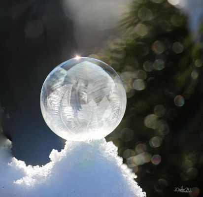 Bald ist es wieder soweit