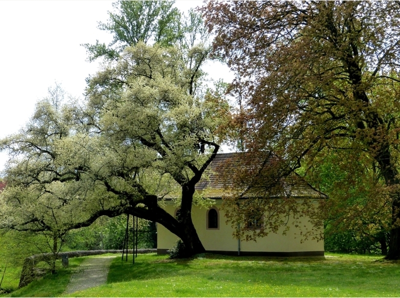  Bald ist es wieder soweit,- Frühling. 