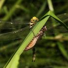 Bald ist es Zeit für den Jungfernflug !