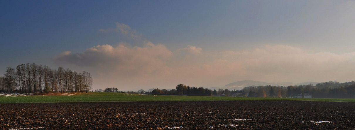 Bald ist Frühling