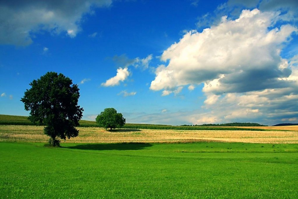 bald ist Frühling