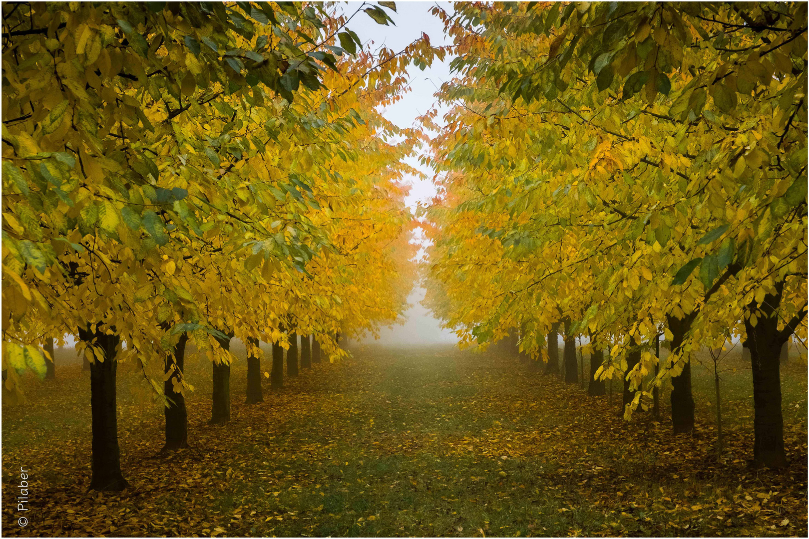 Bald ist Herbst